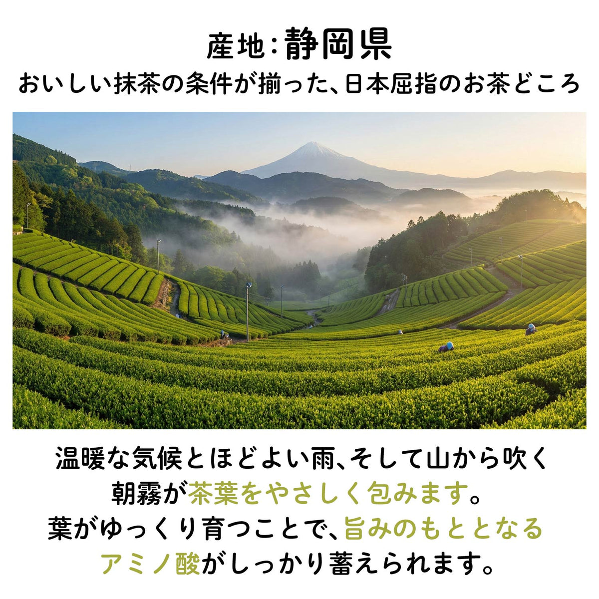 WMATCHA_LP_10.jpg__PID:82616b48-852b-4495-b634-99b033956b5f