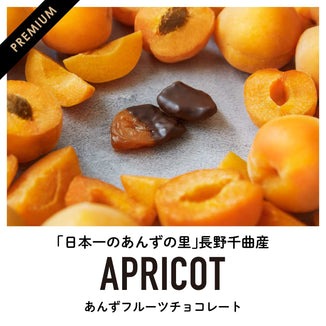 【長野千曲産】あんずフルーツチョコレート｜『日本一のあんずの里』長野千曲産あんず