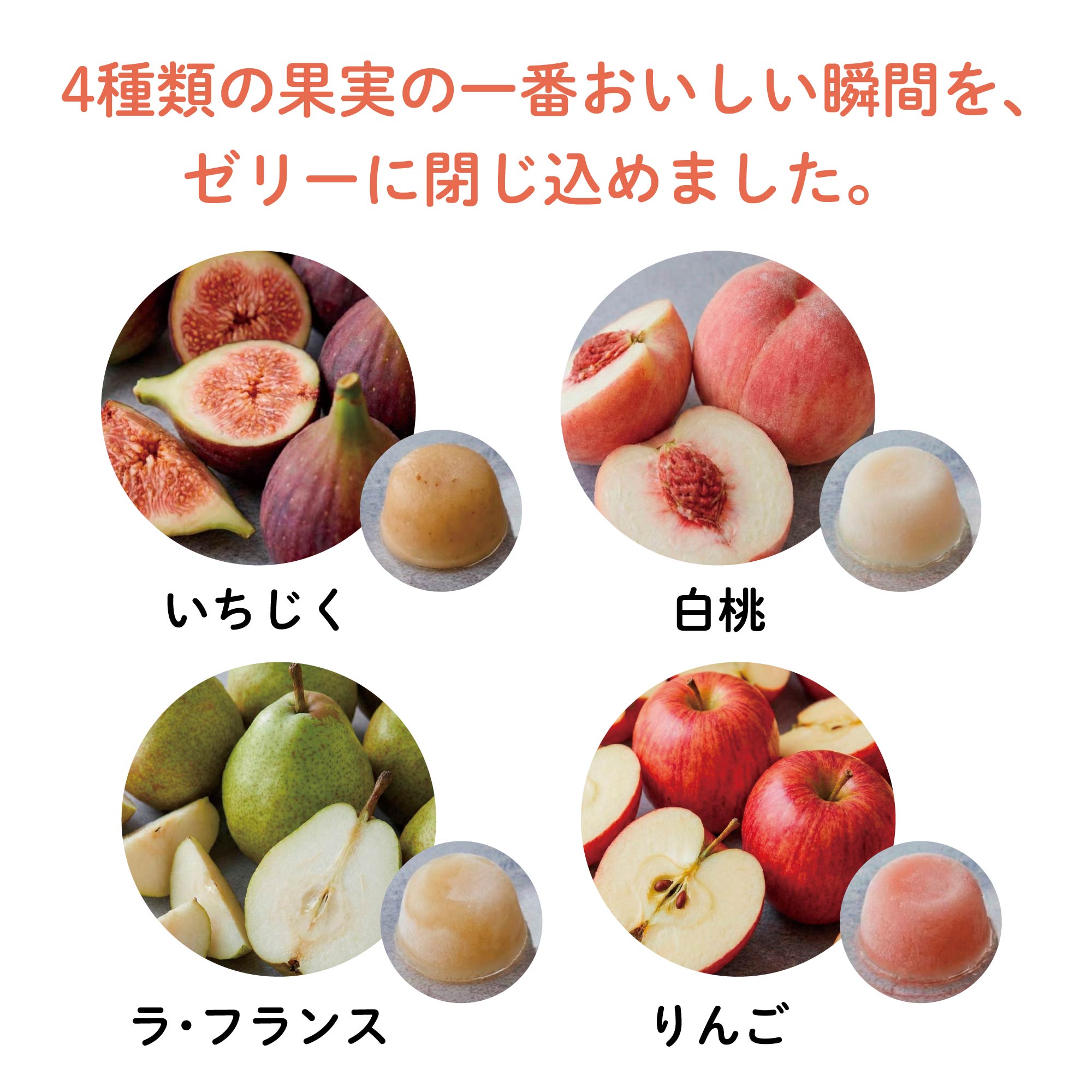 【冷やして/凍らせておいしい】ご当地フルーツゼリー｜常温保存OK