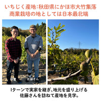 NEW【冷やして/凍らせておいしい】ご当地フルーツゼリー