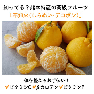 NEW【冷やして/凍らせておいしい】ご当地フルーツゼリー