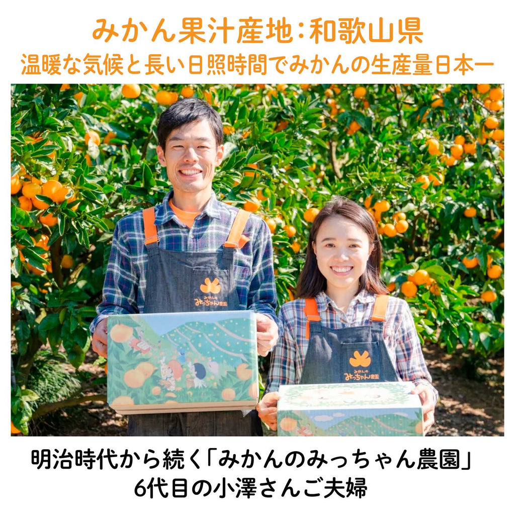 冷やして/凍らせておいしいご当地フルーツゼリー｜常温保存OK