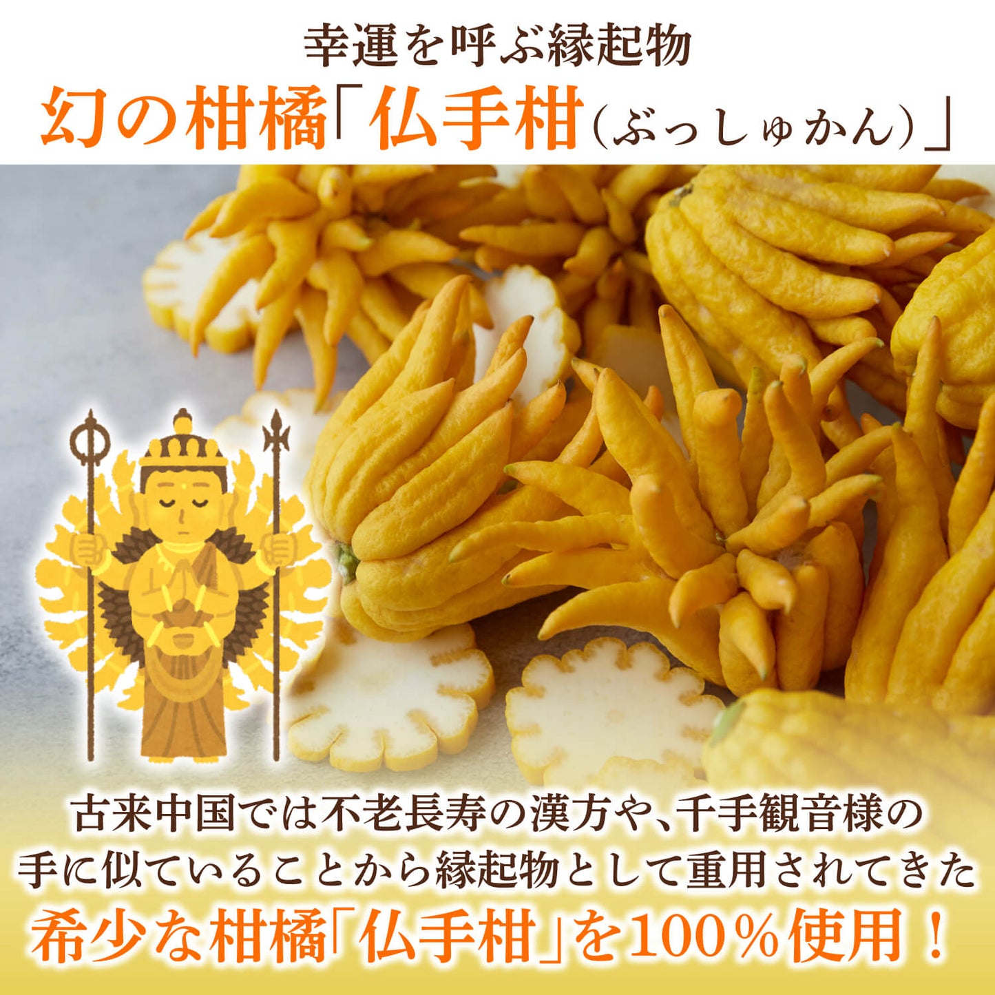 【幻シリーズ】ひとくち幻の柑橘"仏手柑（ぶっしゅかん）"フルーツチョコレート｜不老長寿の縁起物 伝説の富田農園